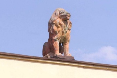 Lev na knihovně